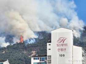 서울 인왕산 불길 잡혀 대응 1단계…면적 소실 축구장 20개